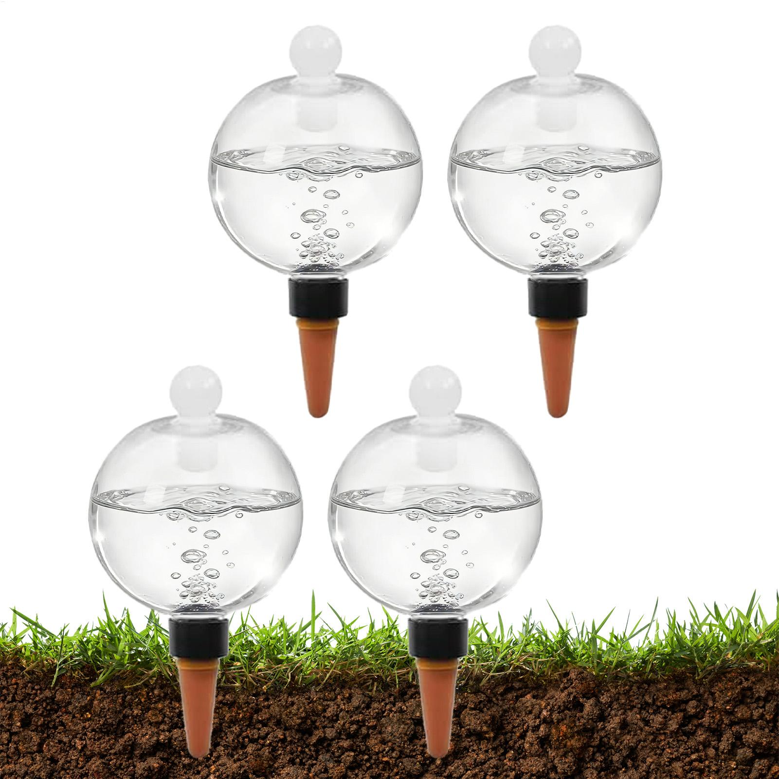 Succulent Set - Plant Watering Bulbs 4pcs 500ml Clear