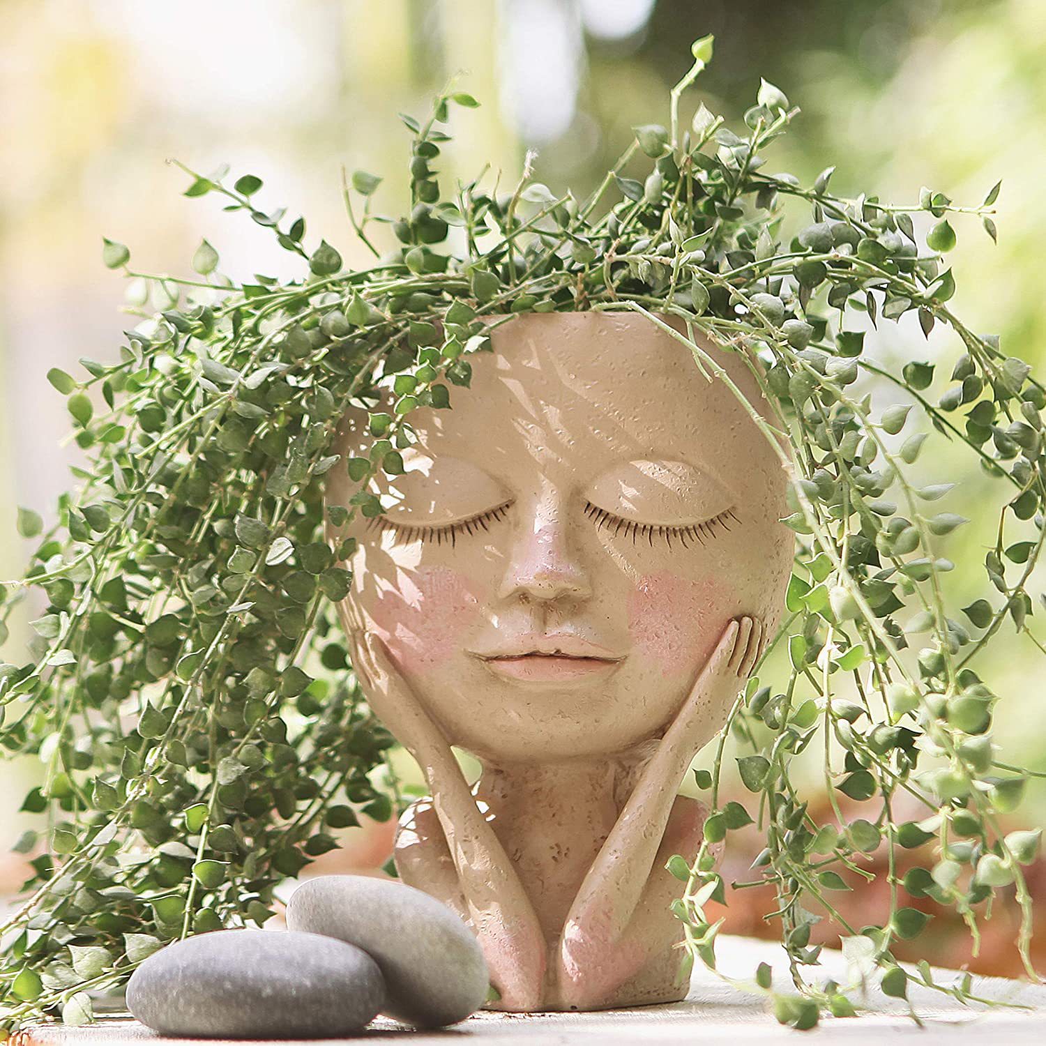 Succulent Set - Girls Face Head Flower Planter,Succulent Plant