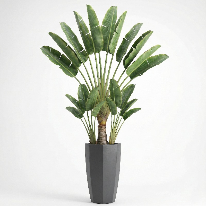 High-Simulation Plastic Fiddle - Fiddle Leaf Fig ulasan dan harga