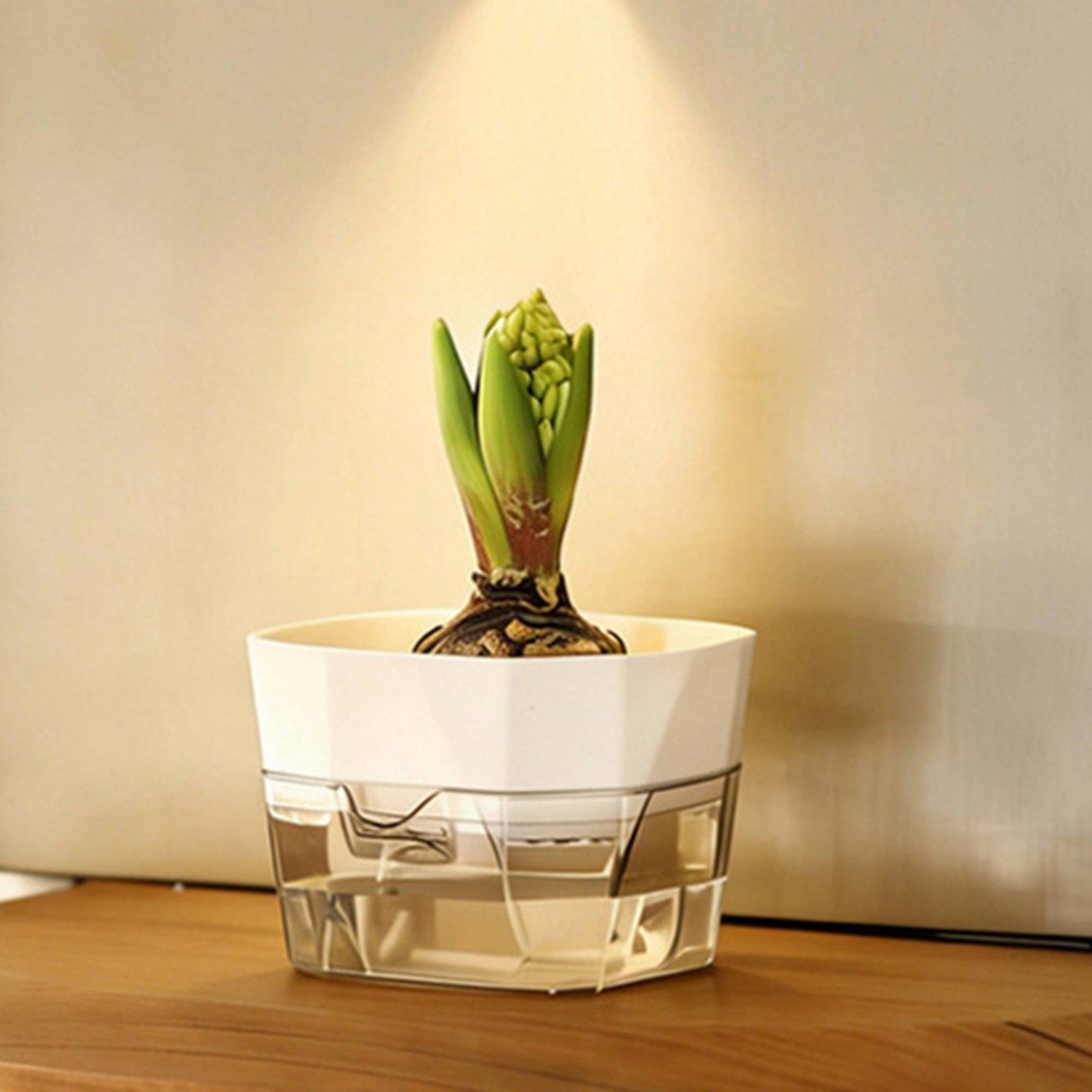Hydroponic Vase Two Layer Self - Indoor Plants ulasan dan harga