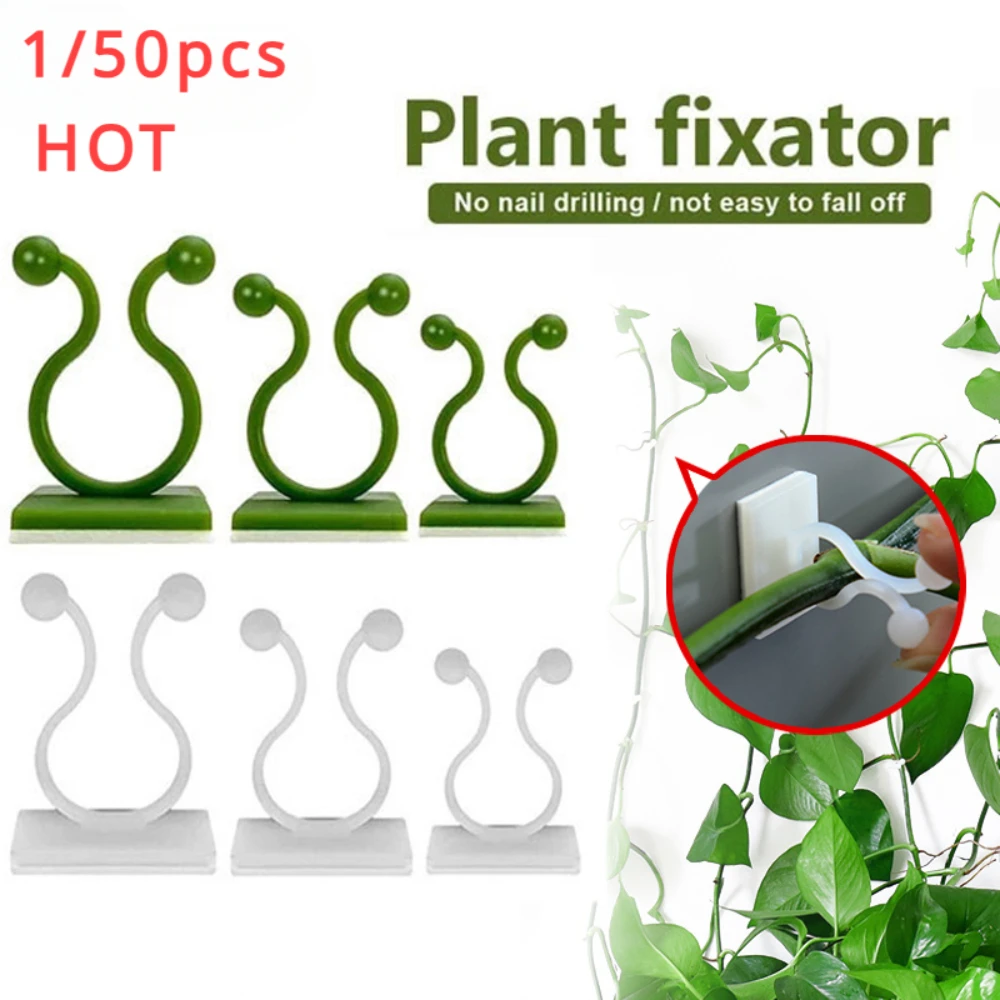 1/30/50Pcs For Garden Accsesor - Plant Support Stake ulasan dan harga