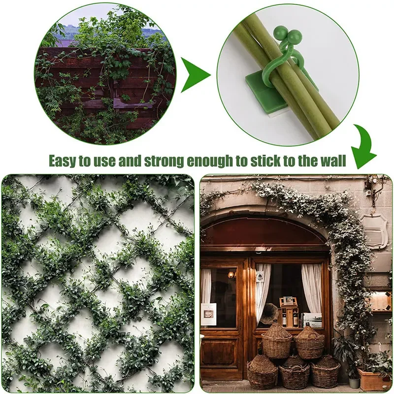 1/30/50Pcs For Garden Accsesor - Plant Support Stake ulasan dan harga