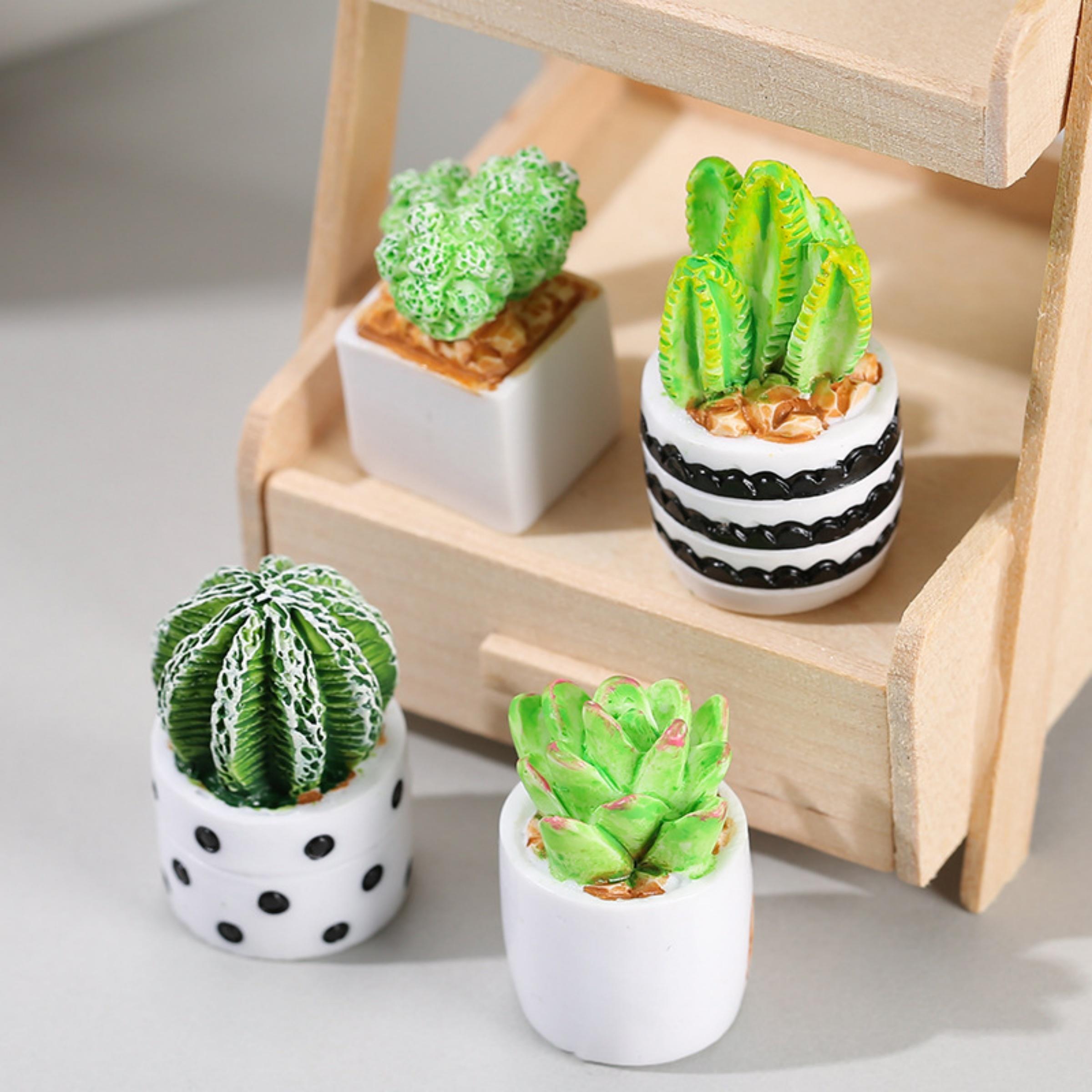 4-Piece Set of Cactus Succulen - Succulent Set ulasan dan harga