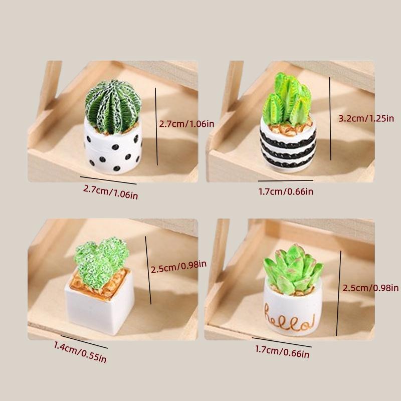 4-Piece Set of Cactus Succulen - Succulent Set ulasan dan harga