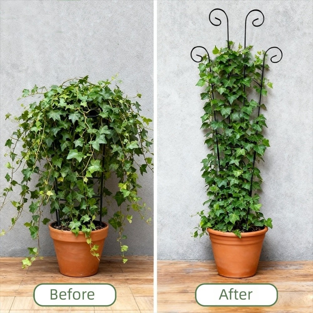 Decorative Metal Plant Climbin - Plant Support Stake ulasan dan harga