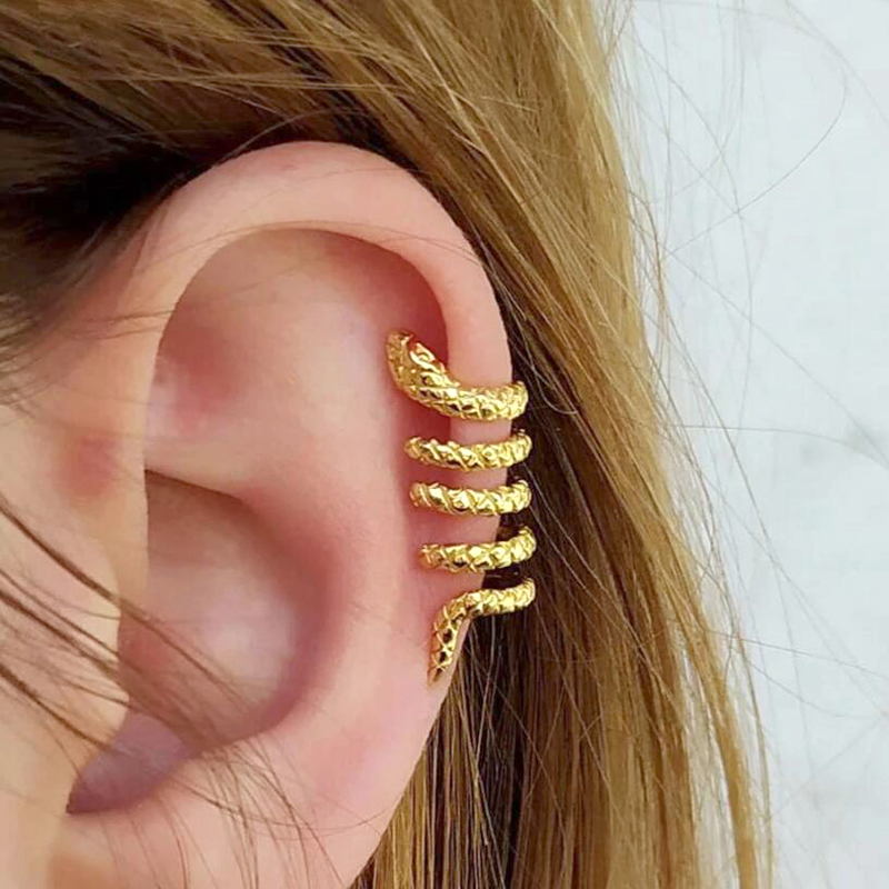 1PC Plated 24K Gold Vintage Cr - Snake Plant ulasan dan harga