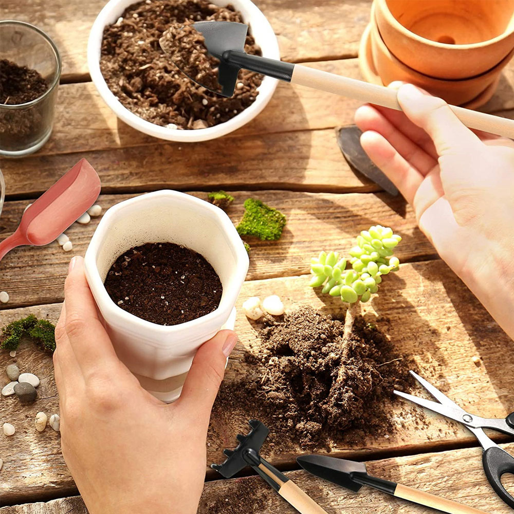 Succulent Plants Tools Mini Ga - Succulent Set ulasan dan harga