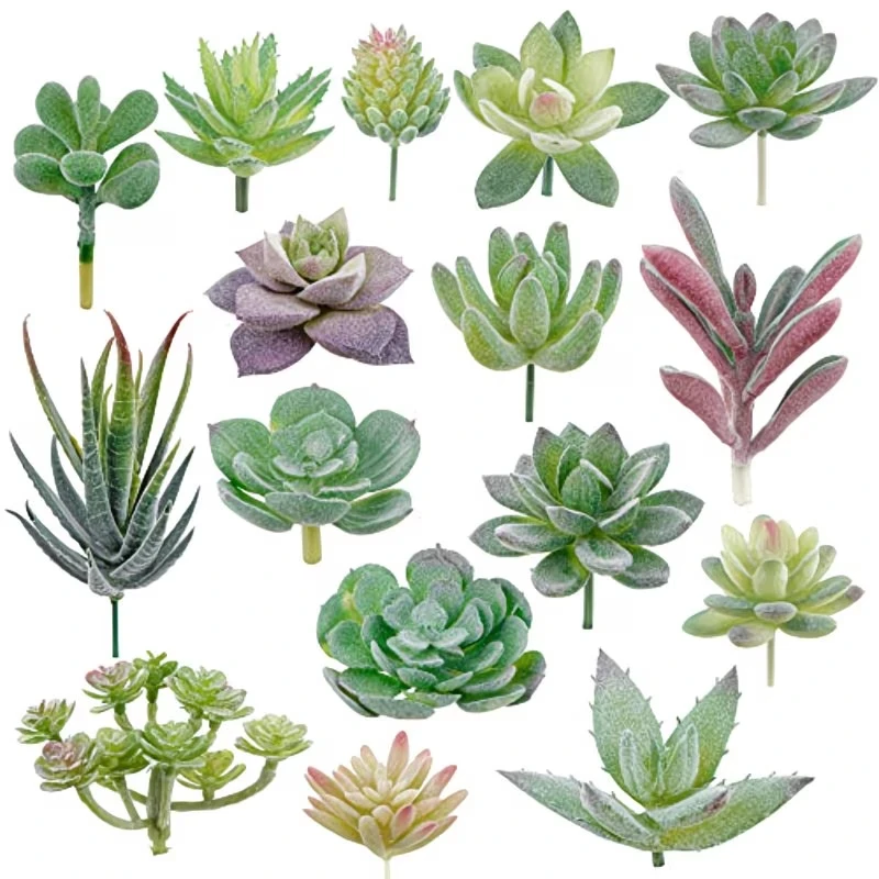 10/20Pcs PVC Succulents Plants - Snake Plant ulasan dan harga